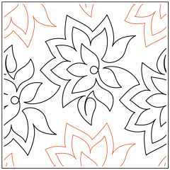 Poinsettia