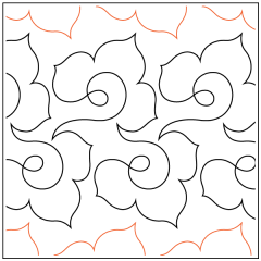 Apricot