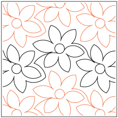 Daisy Delight