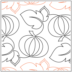 Melissa's Pumpkin Patch